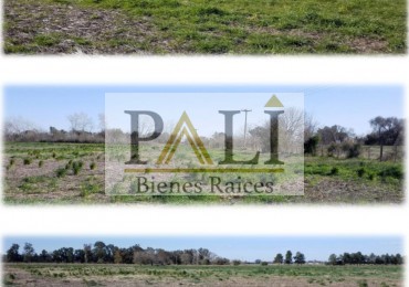 OPORTUNIDAD INVERSIONISTA SE VENDEN 21 HECTAREAS - SAN MIGUEL DEL MONTE
